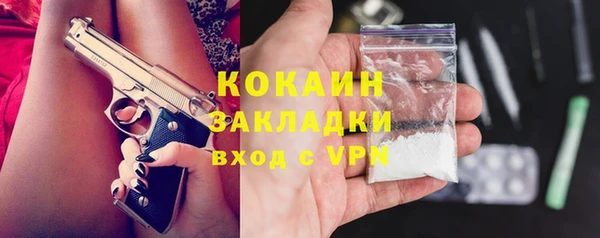 гидра Тавда