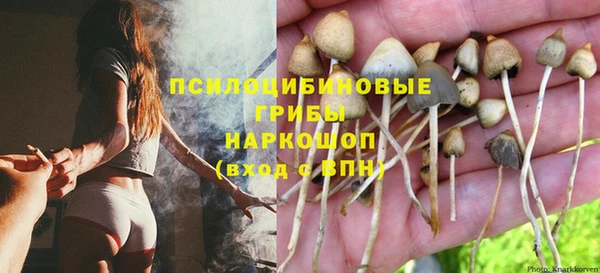 герыч Абаза