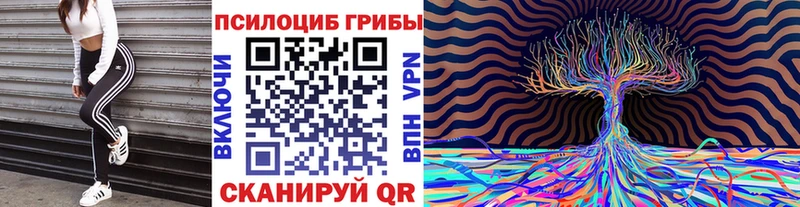 как найти наркотики  blacksprut онион  Псилоцибиновые грибы мицелий  Екатеринбург 