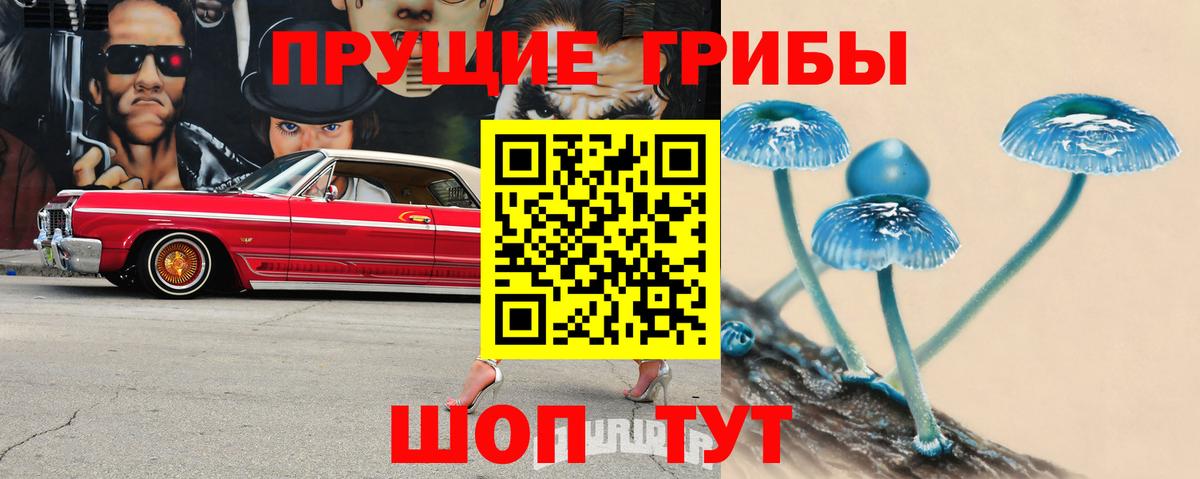Екатеринбург  Псилоцибиновые грибы мухоморы  Вход с VPN  Псилоцибиновые грибы Cubensis 