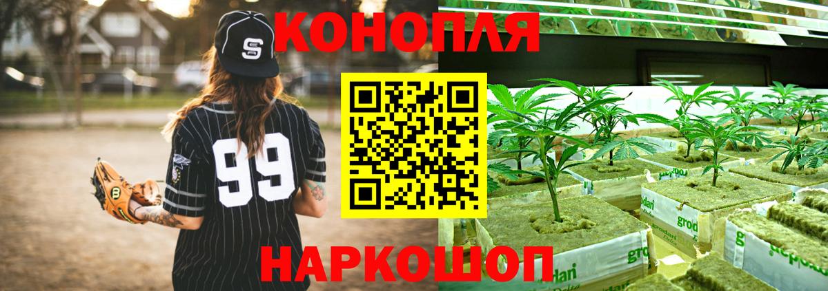 Шишки марихуана MAZAR  МАРИХУАНА гибрид  Каннабис THC 21%  Канабис гибрид  Екатеринбург  Вход с VPN 